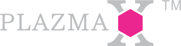 PLAZMAX Logo
